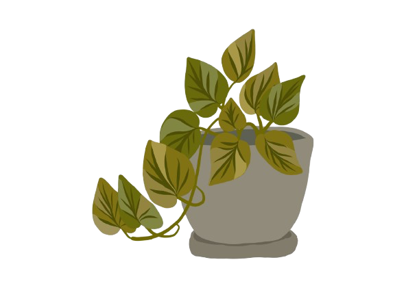 Plant Icon
